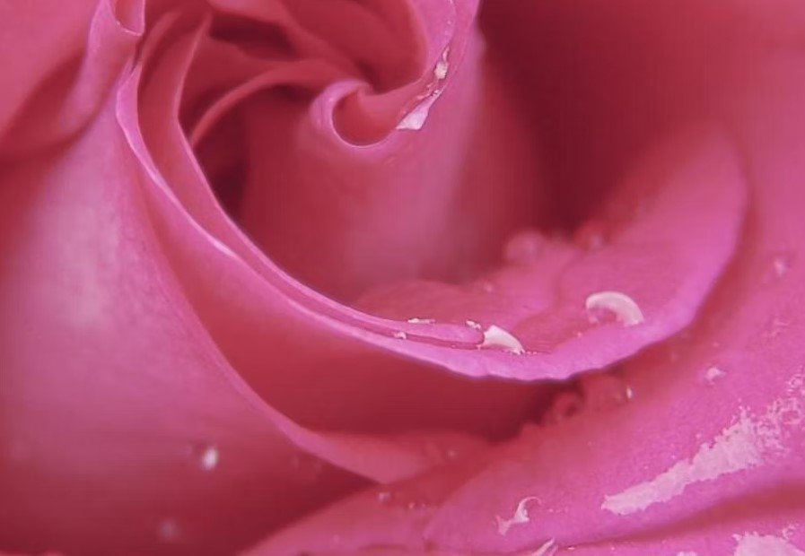 Aesthetic Genital & Cosmetic GYN