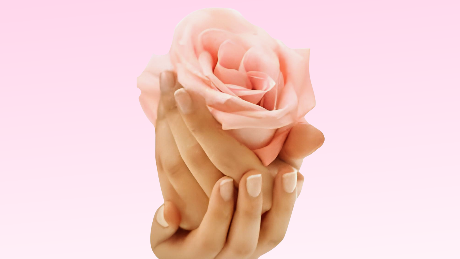 aesthetic gynaecology